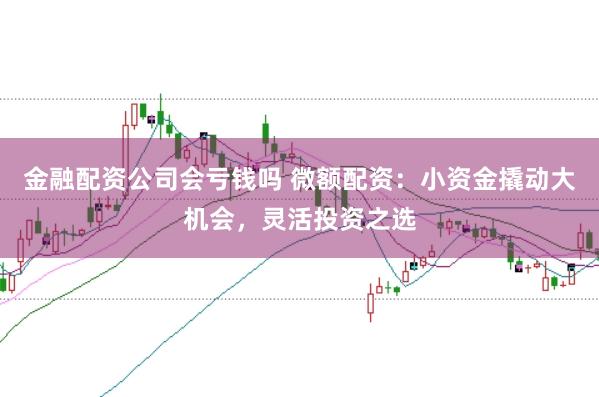 金融配资公司会亏钱吗 微额配资:小资金撬动大机会,灵活投资之选