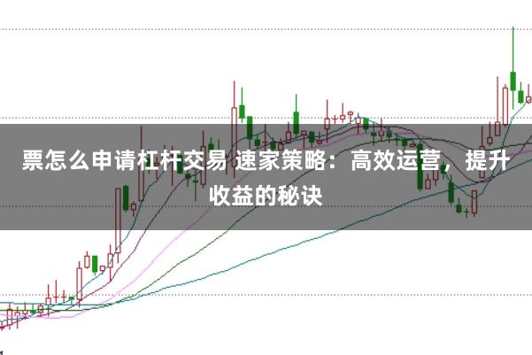 票怎么申请杠杆交易 速家策略:高效运营,提升收益的秘诀