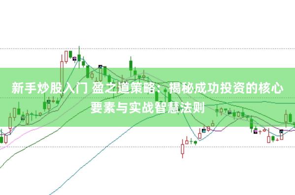 新手炒股入门 盈之道策略：揭秘成功投资的核心要素与实战智慧法则