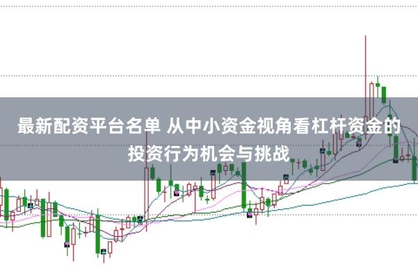 最新配资平台名单 从中小资金视角看杠杆资金的投资行为机会与挑战