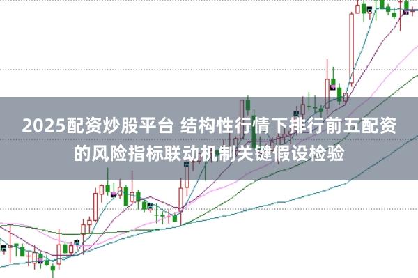 2025配资炒股平台 结构性行情下排行前五配资的风险指标联动机制关键假设检验