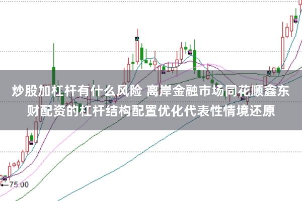 炒股加杠杆有什么风险 离岸金融市场同花顺鑫东财配资的杠杆结构配置优化代表性情境还原
