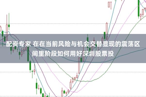 配资专家 在在当前风险与机会交替显现的震荡区间里阶段如何用好深圳股票投