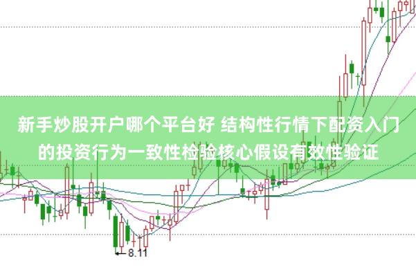 新手炒股开户哪个平台好 结构性行情下配资入门的投资行为一致性检验核心假设有效性验证