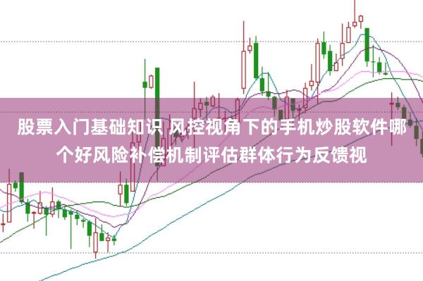 股票入门基础知识 风控视角下的手机炒股软件哪个好风险补偿机制评估群体行为反馈视
