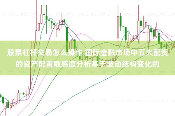 股票杠杆交易怎么操作 国际金融市场中五大配资的资产配置敏感度分析基于波动结构变化的