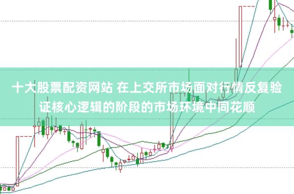 十大股票配资网站 在上交所市场面对行情反复验证核心逻辑的阶段的市场环境中同花顺