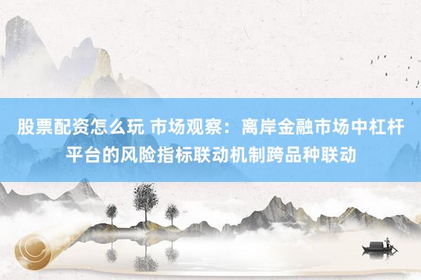 股票配资怎么玩 市场观察：离岸金融市场中杠杆平台的风险指标联动机制跨品种联动