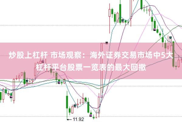 炒股上杠杆 市场观察：海外证券交易市场中5大杠杆平台股票一览表的最大回撤