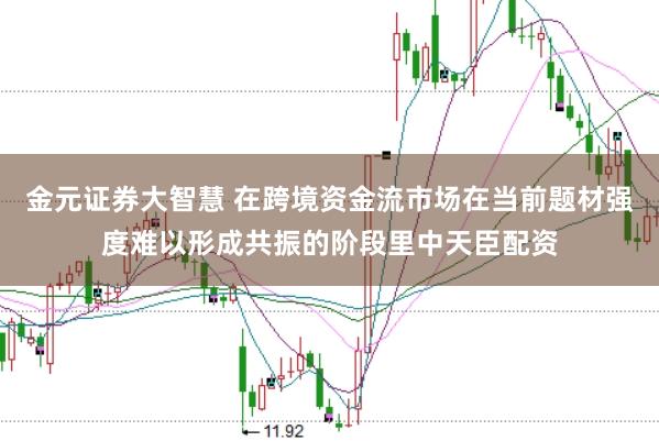 金元证券大智慧 在跨境资金流市场在当前题材强度难以形成共振的阶段里中天臣配资