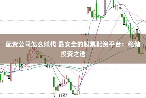 配资公司怎么赚钱 最安全的股票配资平台:稳健投资之选