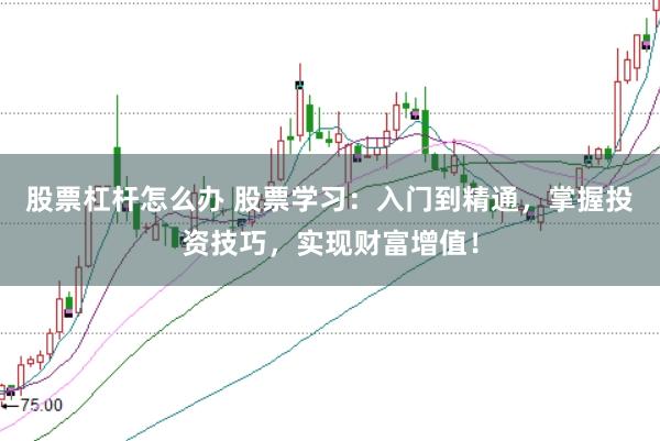 股票杠杆怎么办 股票学习：入门到精通，掌握投资技巧，实现财富增值！