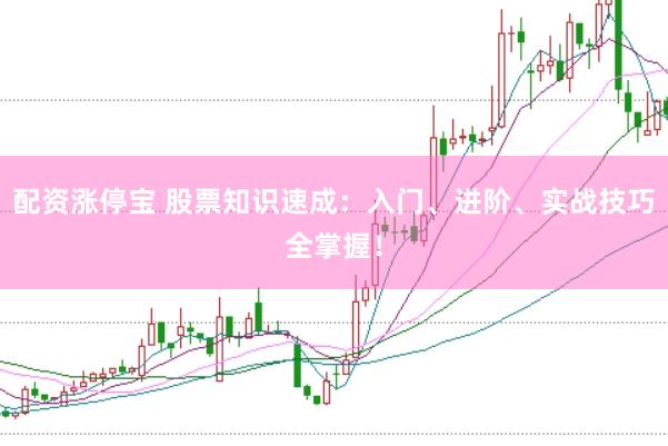 配资涨停宝 股票知识速成：入门、进阶、实战技巧全掌握！