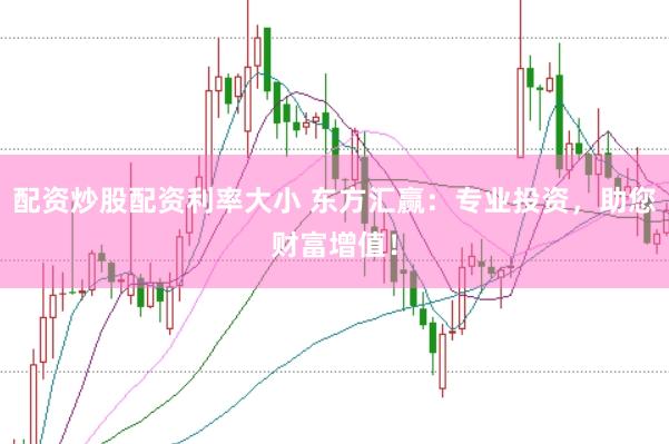 配资炒股配资利率大小 东方汇赢：专业投资，助您财富增值！