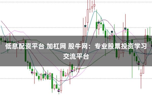 低息配资平台 加杠网 股牛网：专业股票投资学习交流平台