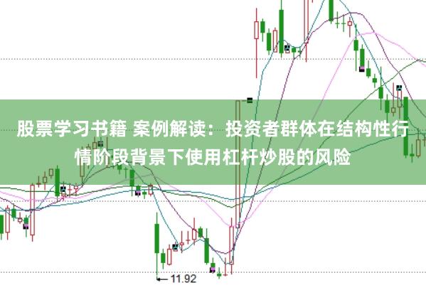 股票学习书籍 案例解读:投资者群体在结构性行情阶段背景下使用杠杆炒股的风险